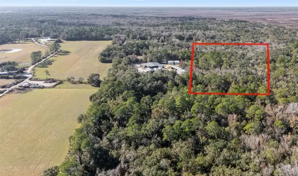 102 SW 109th Place, MICANOPY, FL 32667