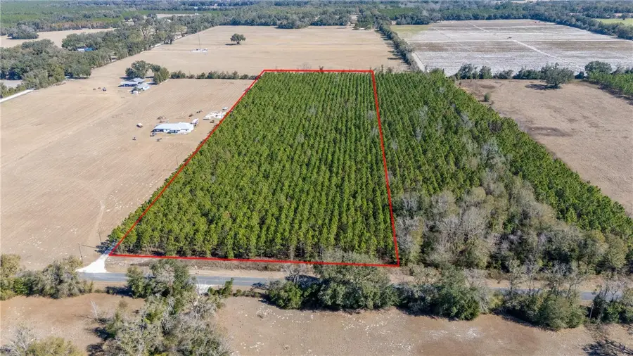 Nw 10th Avenue, Trenton, FL 32693 - #3