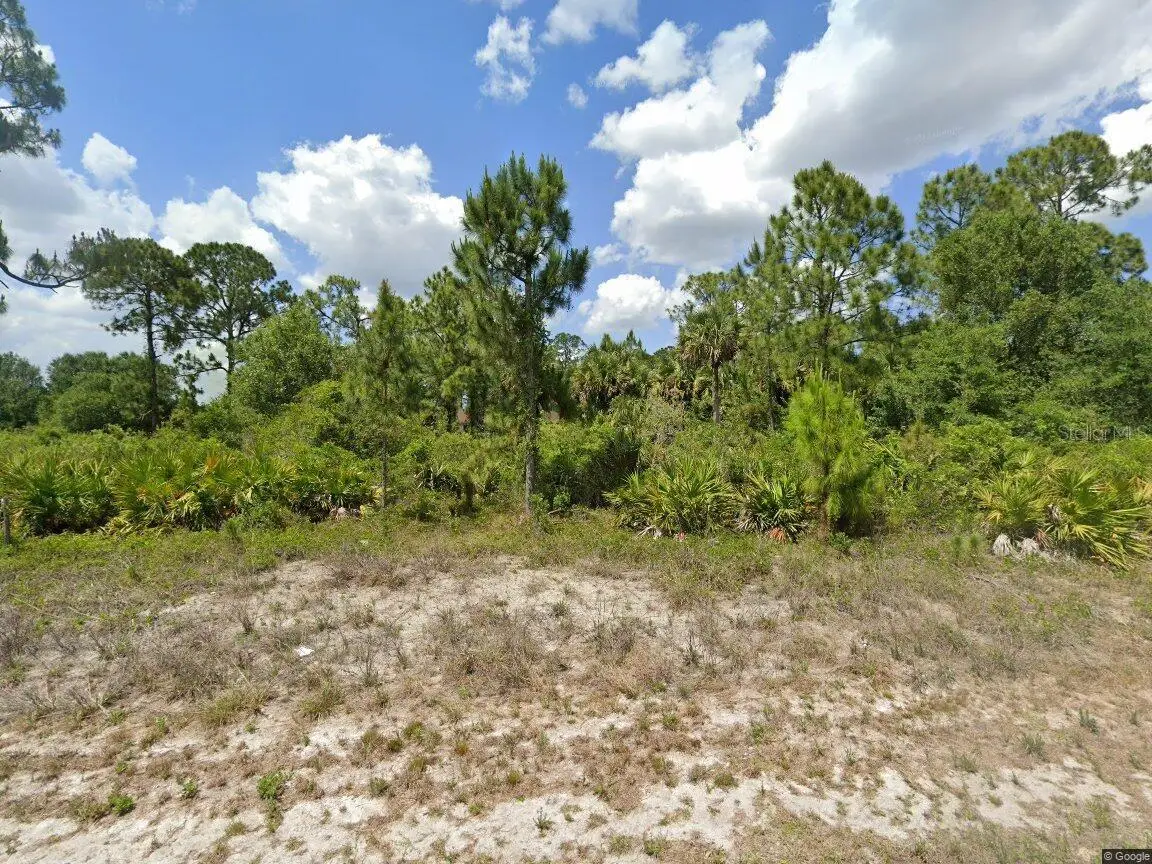 733 Palmer Street E, Lehigh Acres, FL 33974 - #1