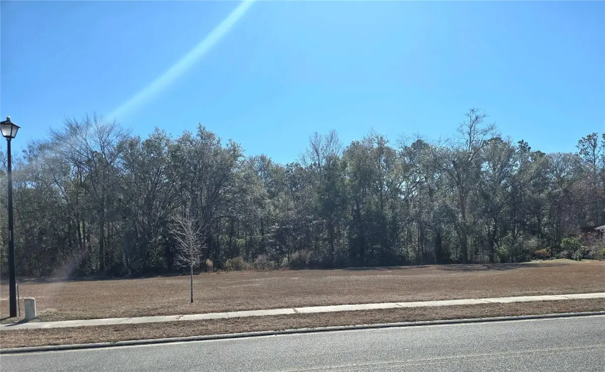 483 SW Bellflower Drive, Lake City, FL 32024 - #1