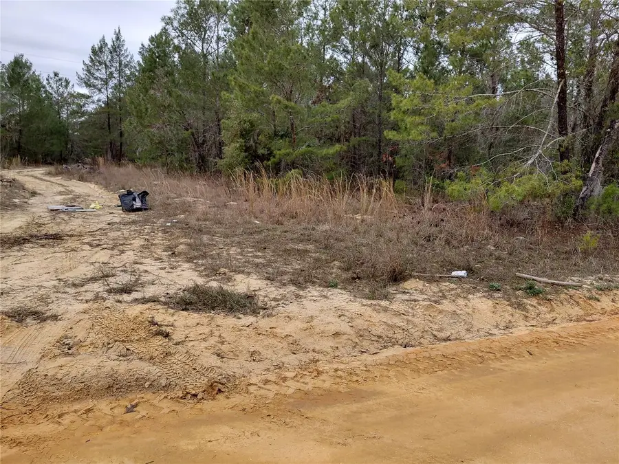 0 Oak Terrace, Interlachen, FL 32148 - #2