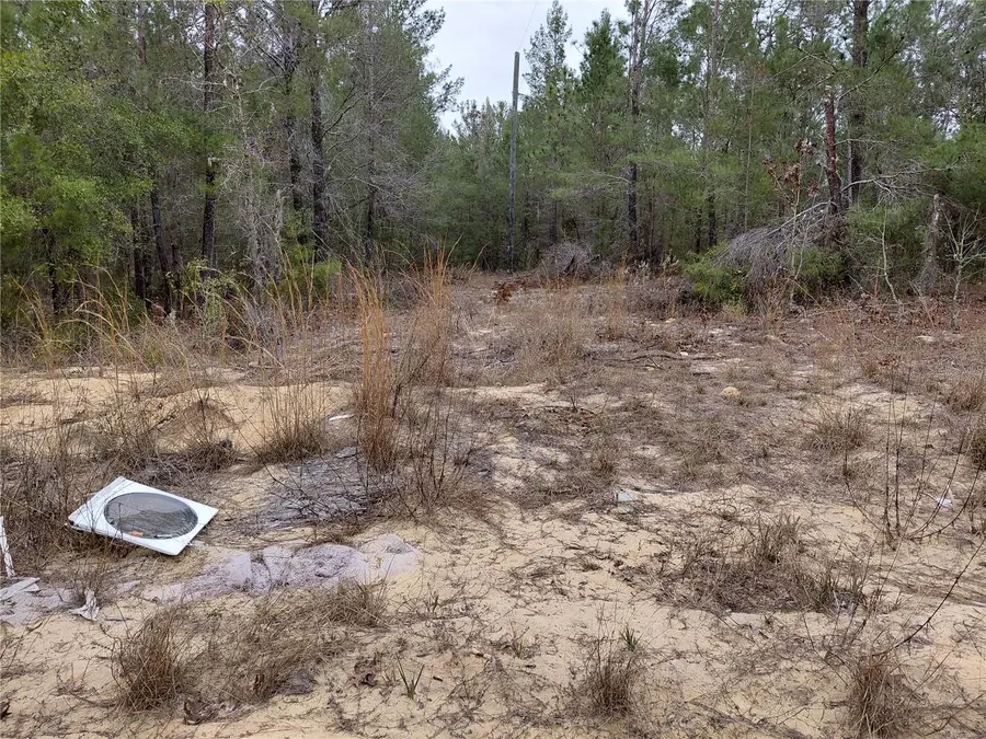 0 Oak Terrace, Interlachen, FL 32148 - #3