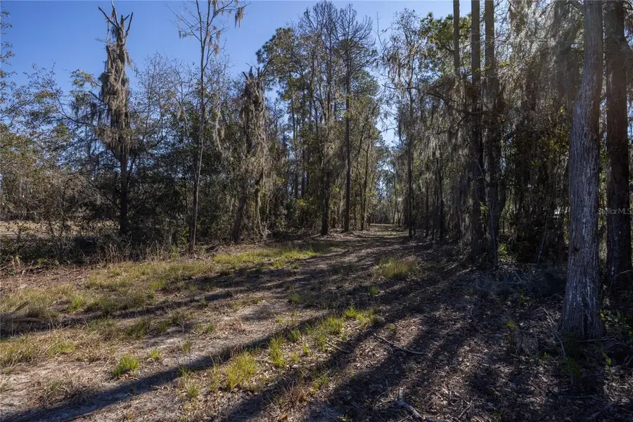 155th Way, Starke, FL 32091 - #2