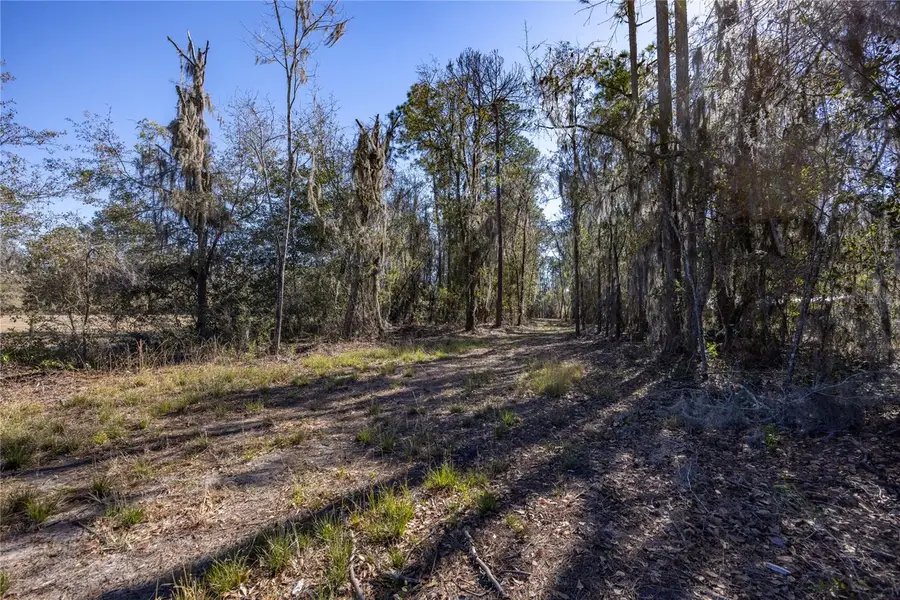 155th Way, Starke, FL 32091 - #3