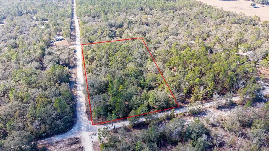 0000 NW 10th Avenue, Bell, FL 32619 - #2