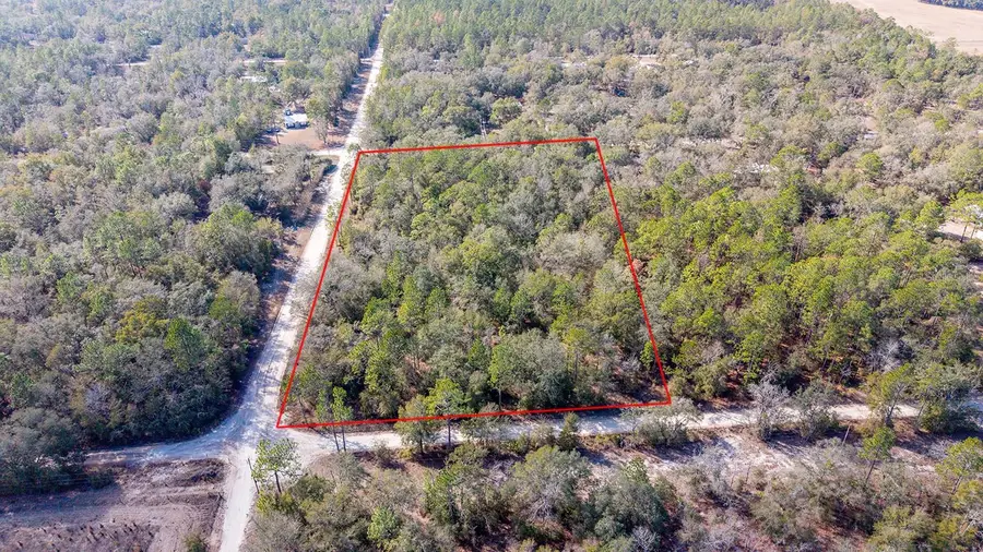 0000 NW 10th Avenue, Bell, FL 32619 - #3