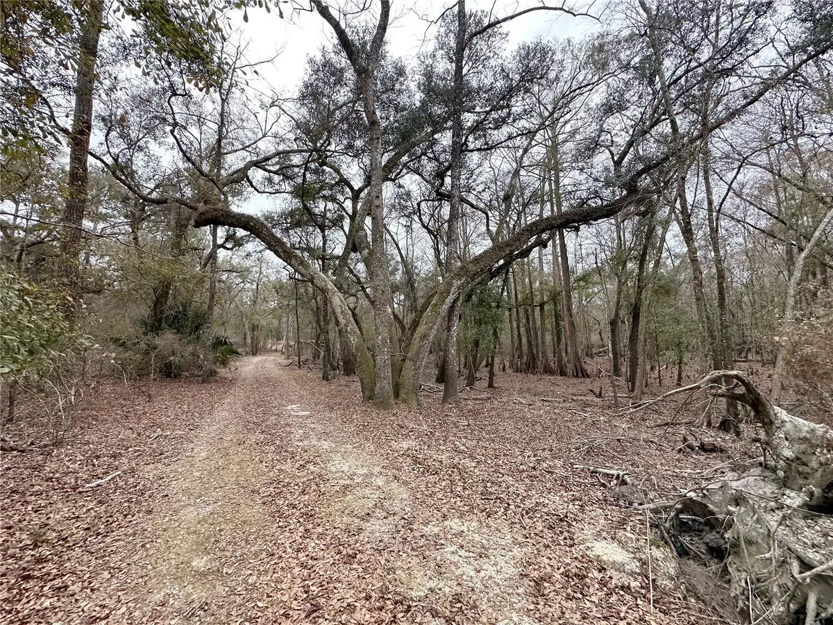 7875 SW County Road 344, Bell, FL 32619 - #1