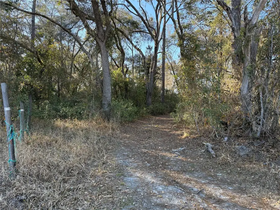 000 NE 126 Street, Bronson, FL 32621 - #2