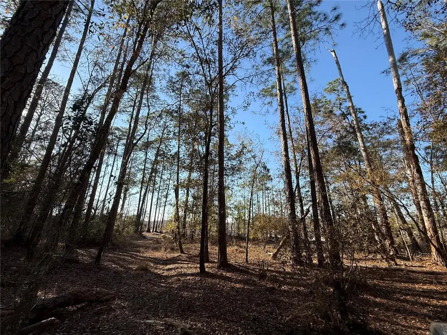 000 NE 126 Street, Bronson, FL 32621 - #3