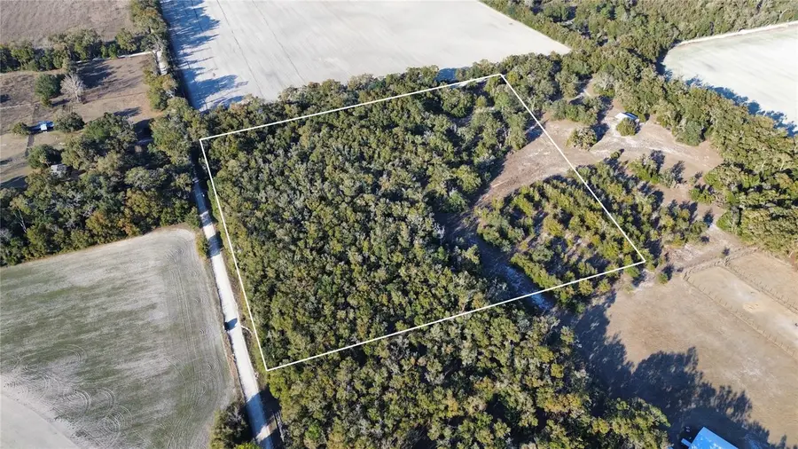 3829 Rodeo Road, Bell, FL 32619 - #2