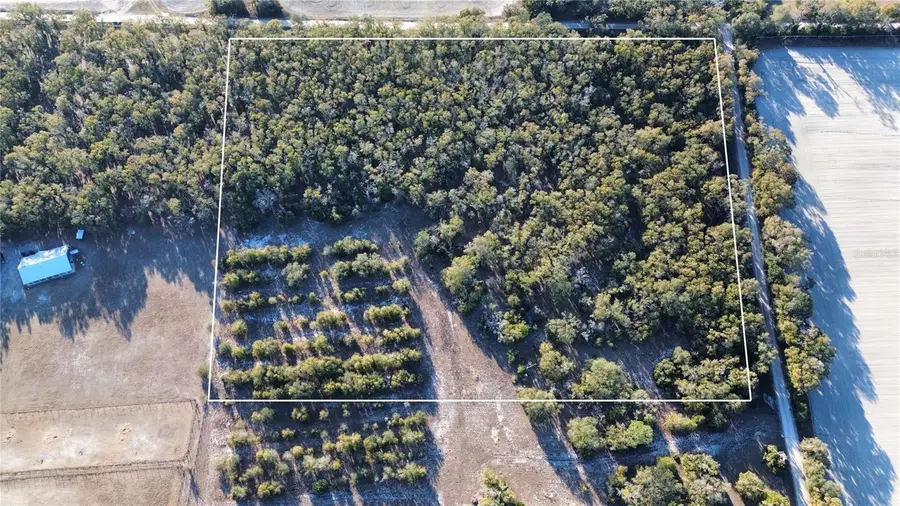 3829 Rodeo Road, Bell, FL 32619 - #3