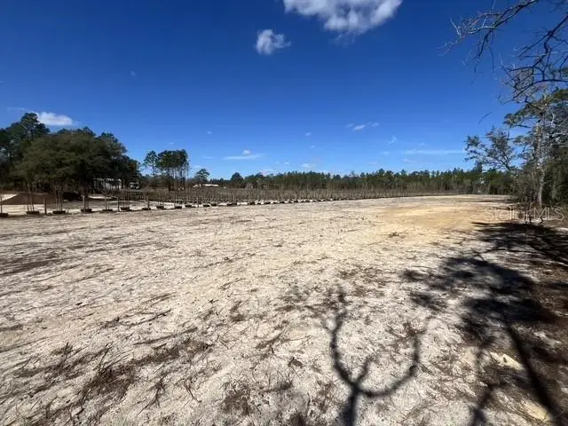 NE 56 Street, Bronson, FL 32621 - #3