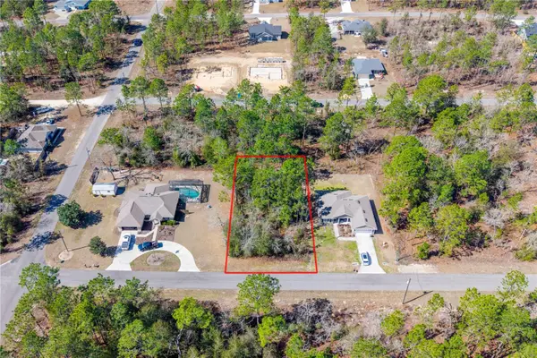 TBD NE 151st , Lot 7 Avenue, WILLISTON, FL 32696