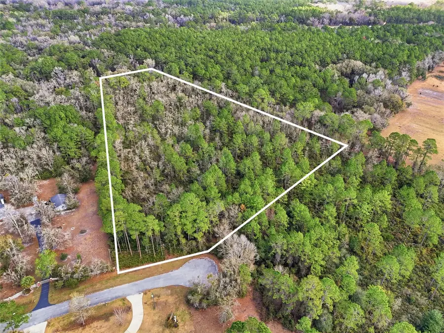 1316 SW 119th Place, Micanopy, FL 32667 - #2