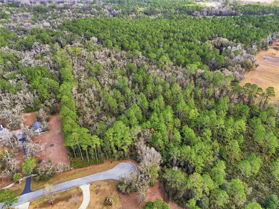 1316 SW 119th Place, Micanopy, FL 32667 - #3