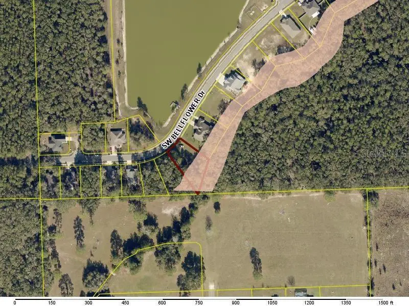 569 SW Bellflower Drive, Lake City, FL 32024 - #2
