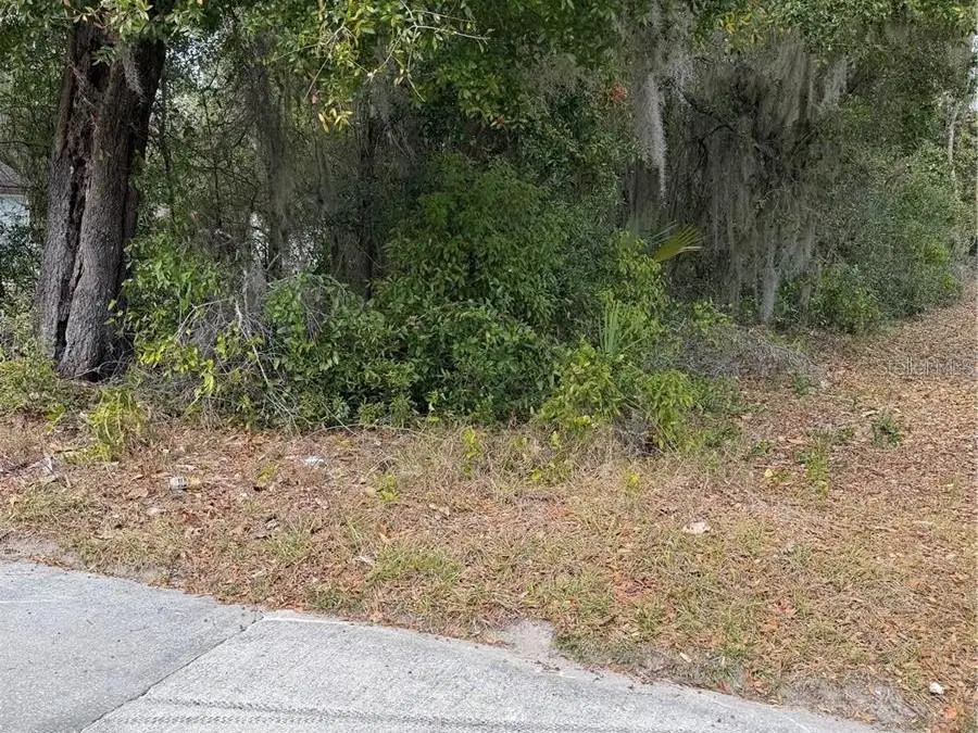 SE 65th Avenue, Hawthorne, FL 32640 - #2