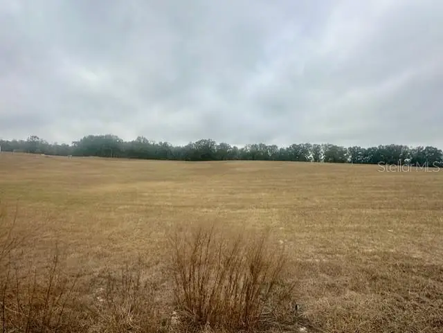 NW 31st Street, Bell, FL 32619 - #1