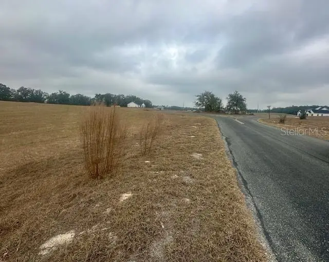 NW 31st Street, Bell, FL 32619 - #2