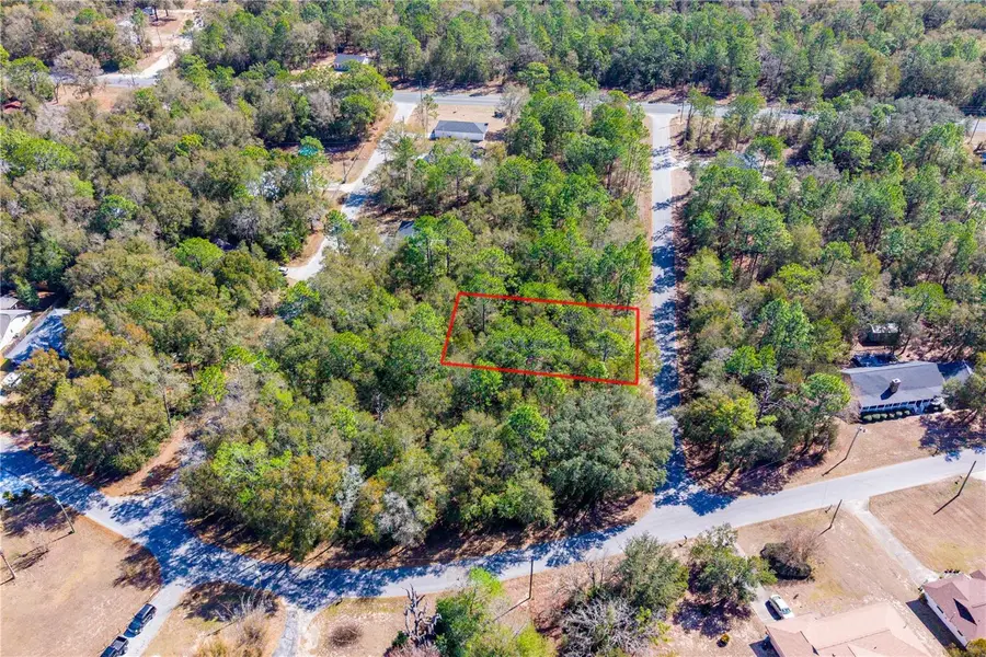 TBD NE 1st Pl, Lot 6, Williston, FL 32696 - #3