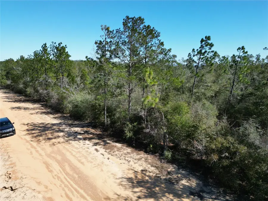 Alene Drive, Alford, FL 32420 - #3