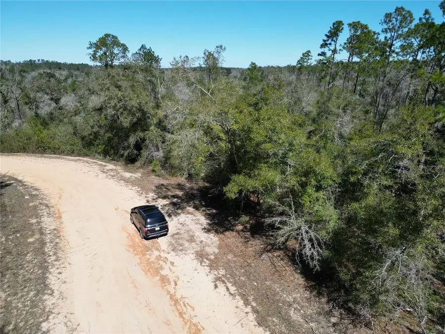 Blueberry Court, Alford, FL 32420 - #3