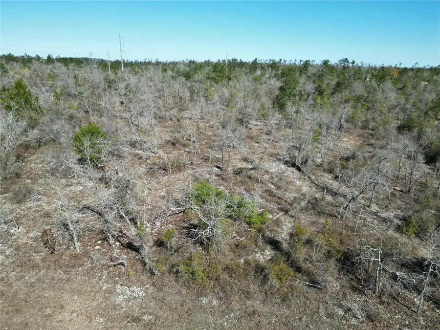 Channel Drive, Alford, FL 32420 - #2