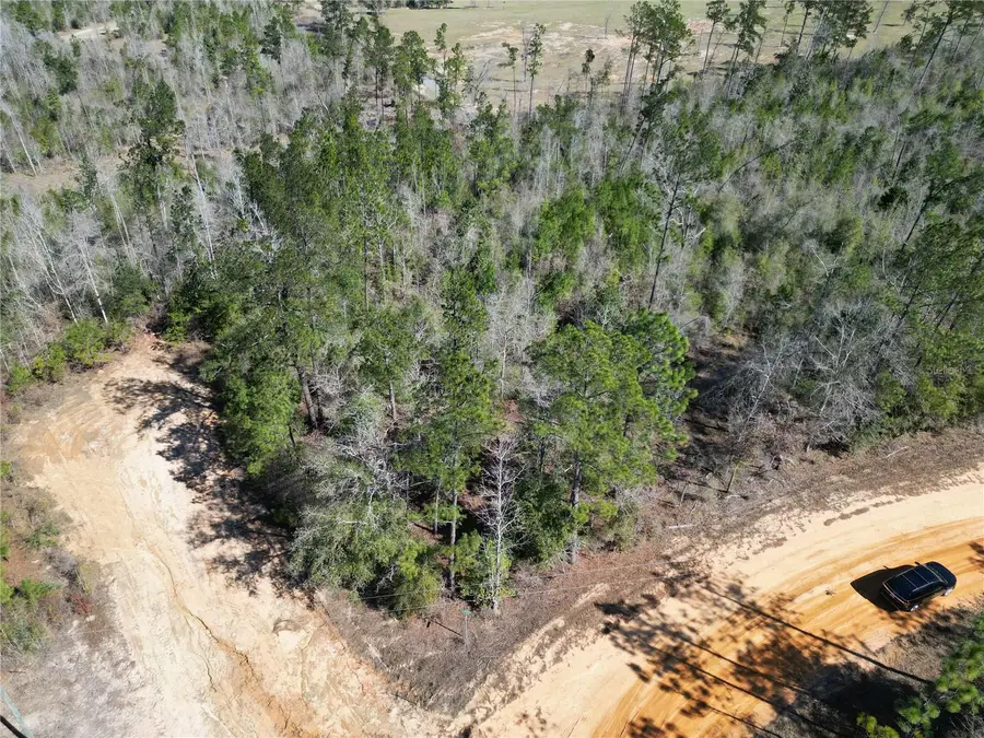 Clinton Court, Alford, FL 32420 - #3