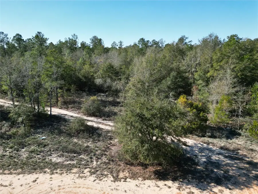 Cardinal Avenue, Marianna, FL 32448 - #2