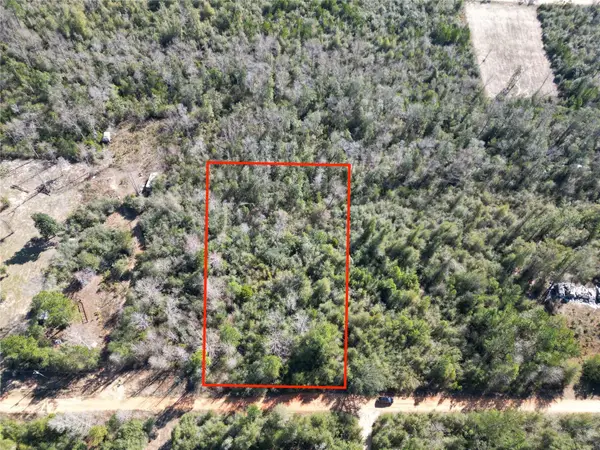 Mckinney Lane, ALFORD, FL 32420