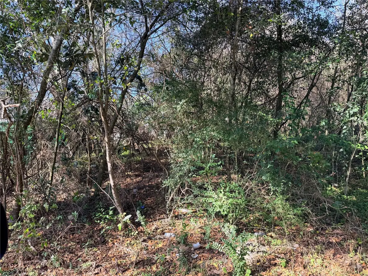 TBD NW 151st Avenue, Alachua, FL 32615 - #1