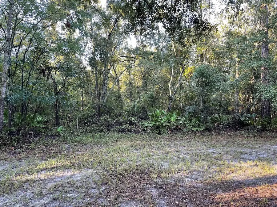 TBD 188th Place, McAlpin, FL 32062 - #2
