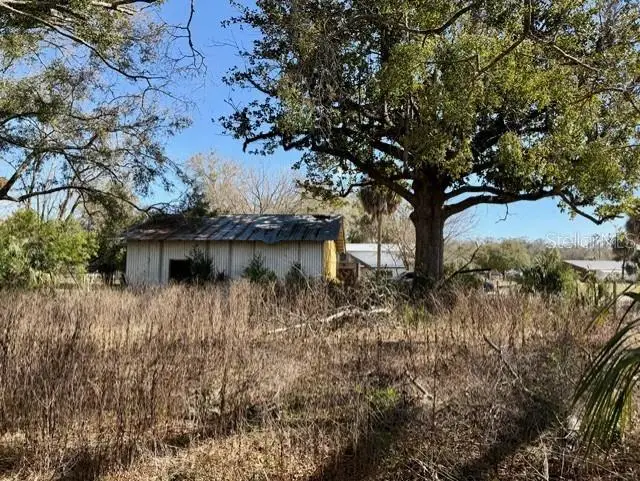 1219 N Paris Street, Bell, FL 32619 - #3