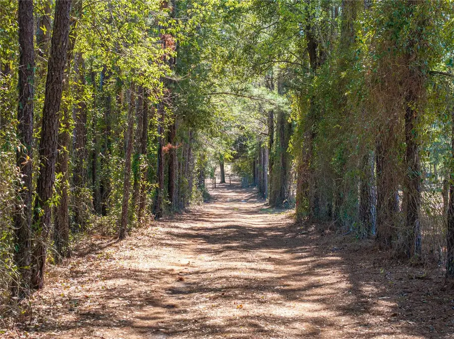 609 NW 96th Place, Branford, FL 32008 - #2