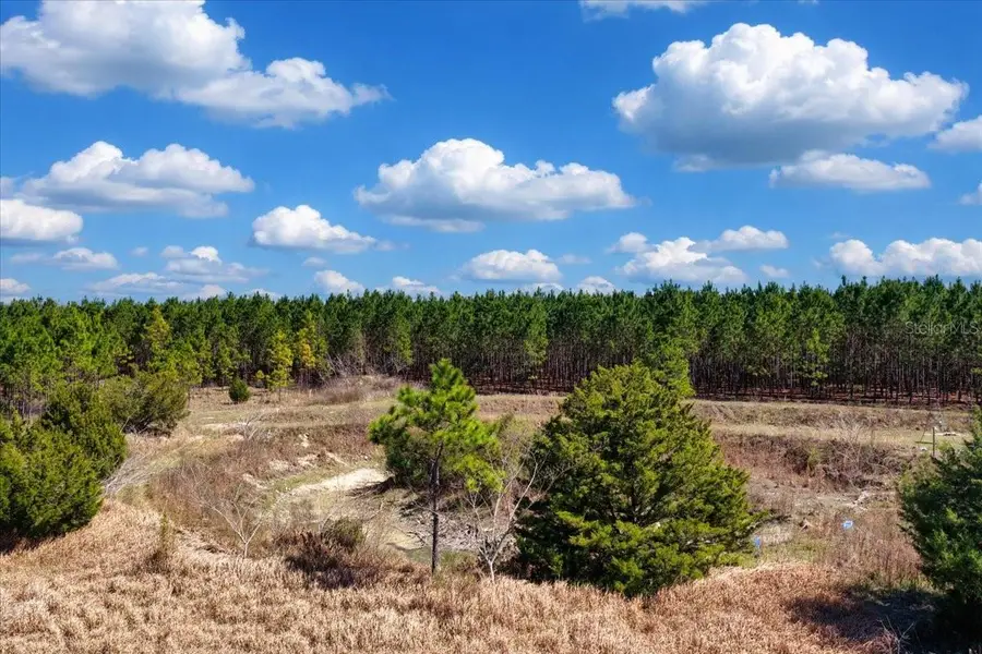 000 NW 60th Ave, Chiefland, FL 32626 - #2