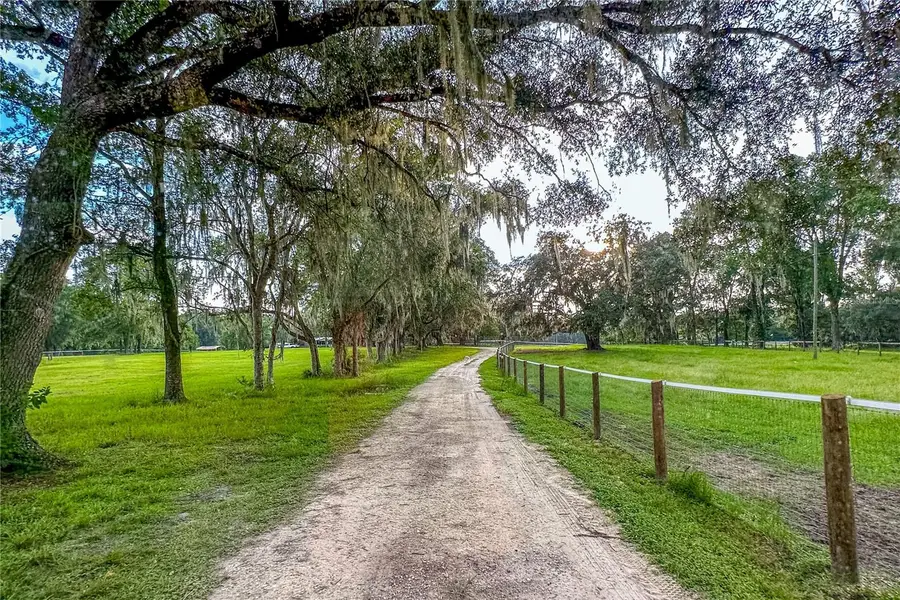 16242 NW 130th Street, Williston, FL 32696 - #2