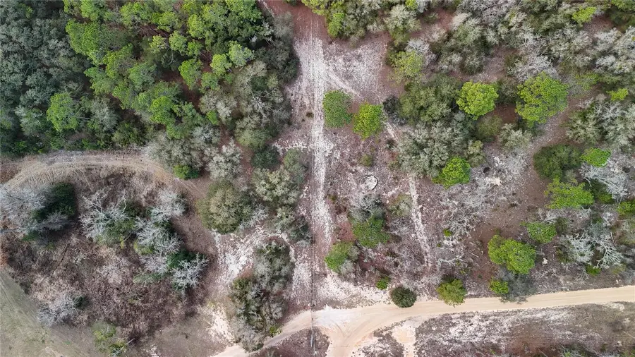 237 Highland Drive, Hawthorne, FL 32640 - #3