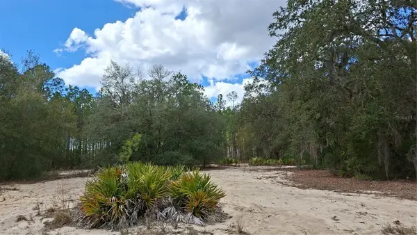 Fisher Way, OCKLAWAHA, FL 32179