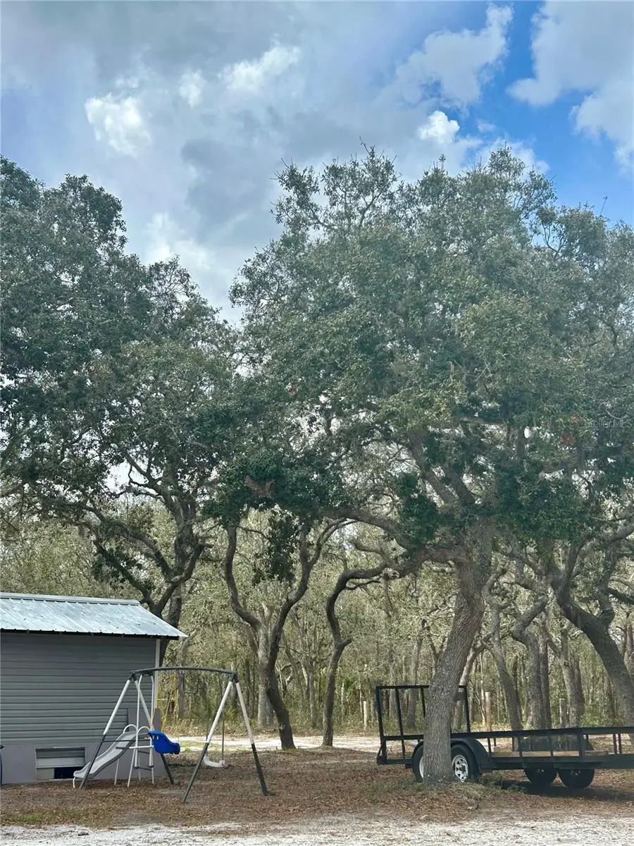 1150 NE 115 Ave, Silver Springs, FL 34488 - #3