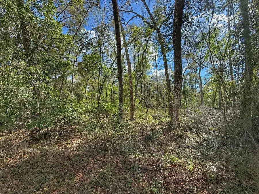 TBD SW 14th Place, Bell, FL 32619 - #2