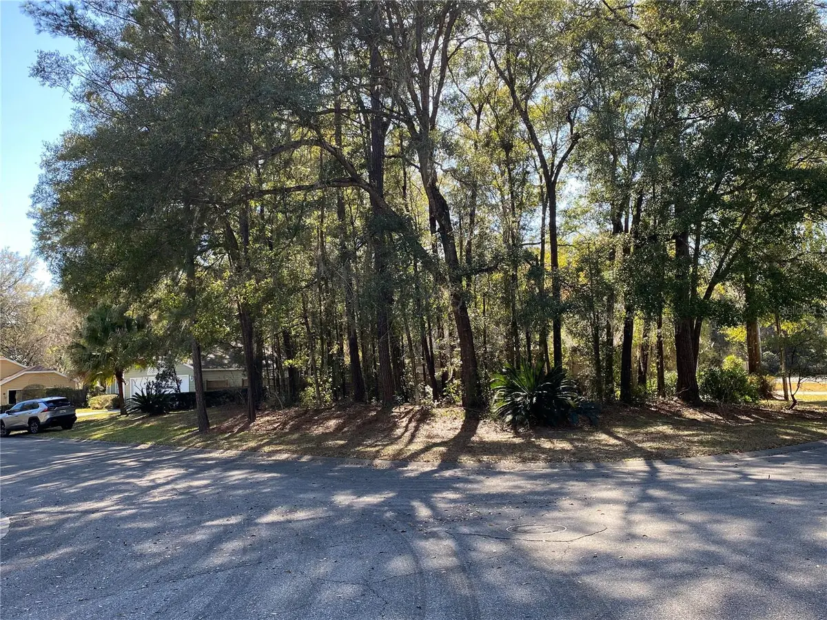 12345 NW 10th Place, Newberry, FL 32669 - #1