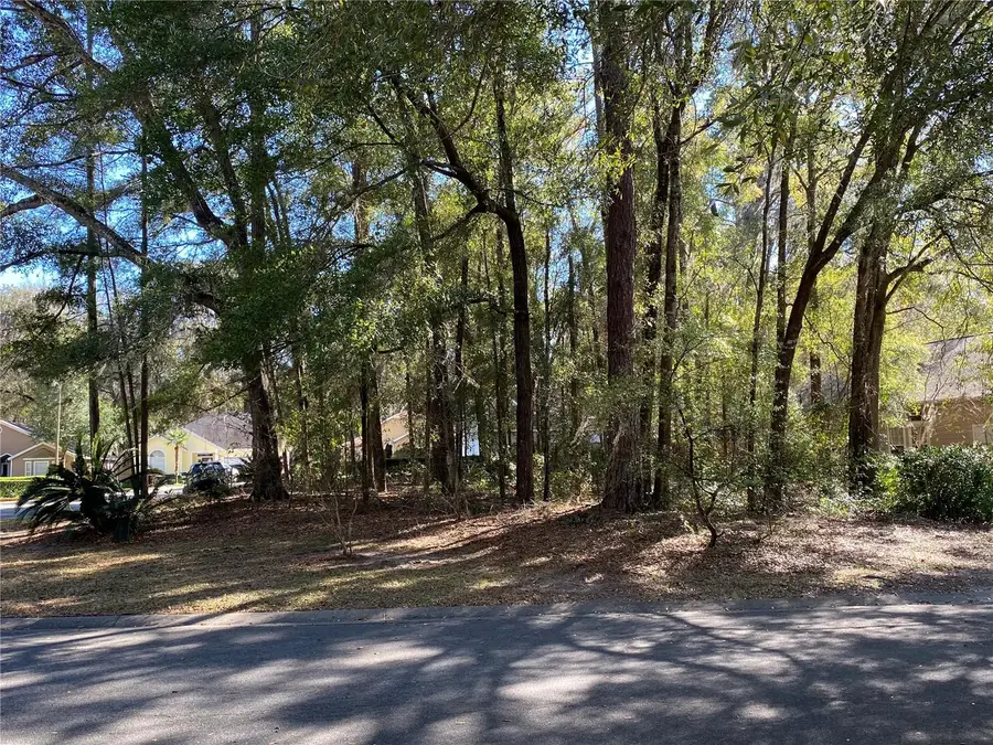 12345 NW 10th Place, Newberry, FL 32669 - #3