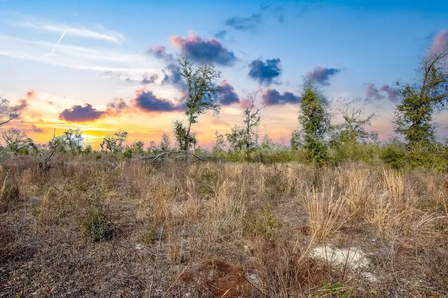 TBD Walker Place, Live Oak, FL 32060 - #3