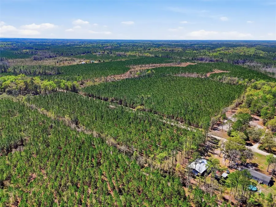 TBD SE Pounds Hammock Road, Lake City, FL 32025 - #2