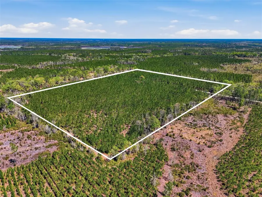 TBD SE Pounds Hammock Road, Lake City, FL 32025 - #3