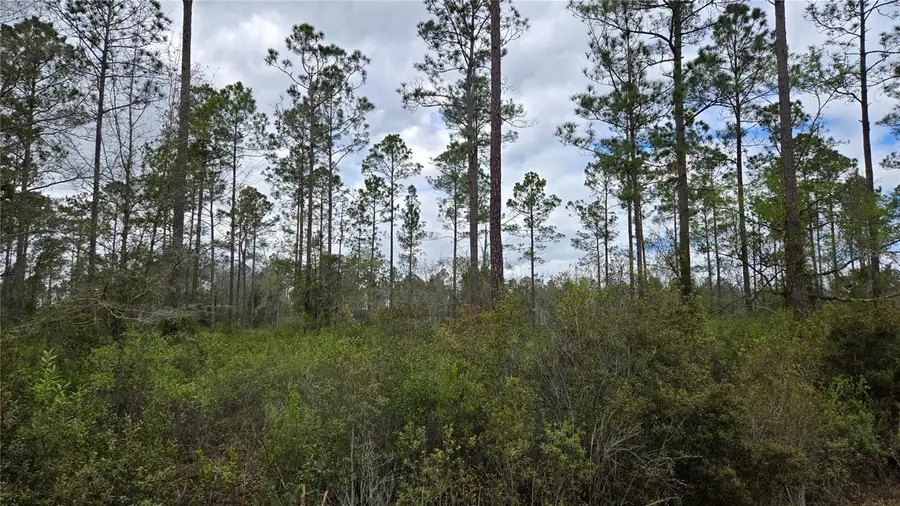 Lot 10 NW Natalie Way, Lake City, FL 32055 - #3
