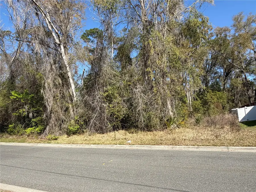 1908 NE 7th Avenue, Gainesville, FL 32641 - #3