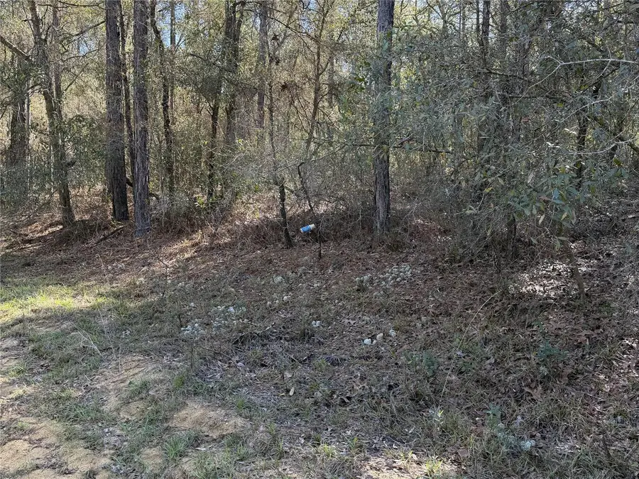 SE 7th Avenue, Interlachen, FL 32148 - #2