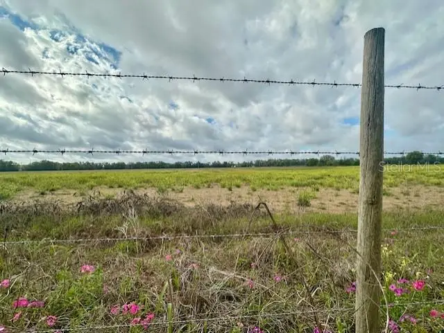 SW 80th Street, Trenton, FL 32693 - #3