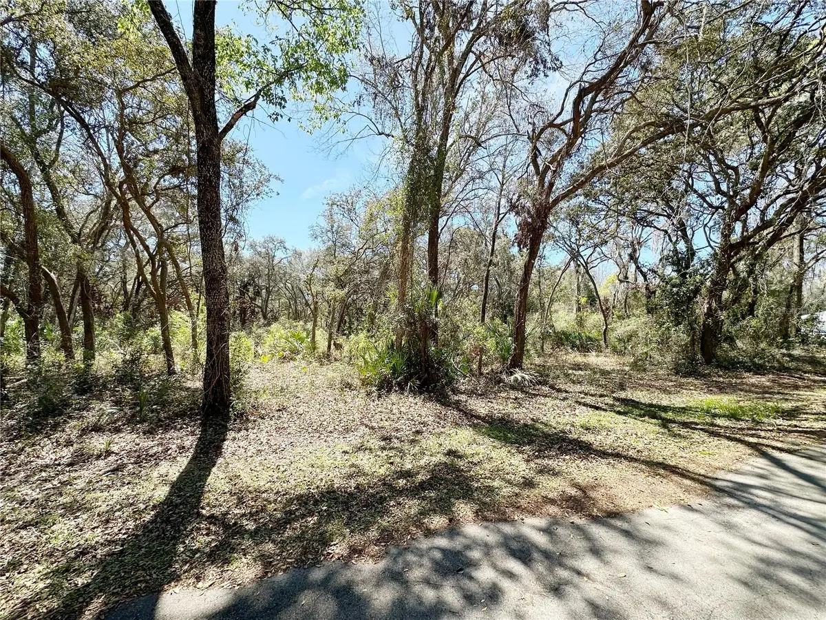 TBD NW 110th Circle, Lot 3, Chiefland, FL 32626 - #1